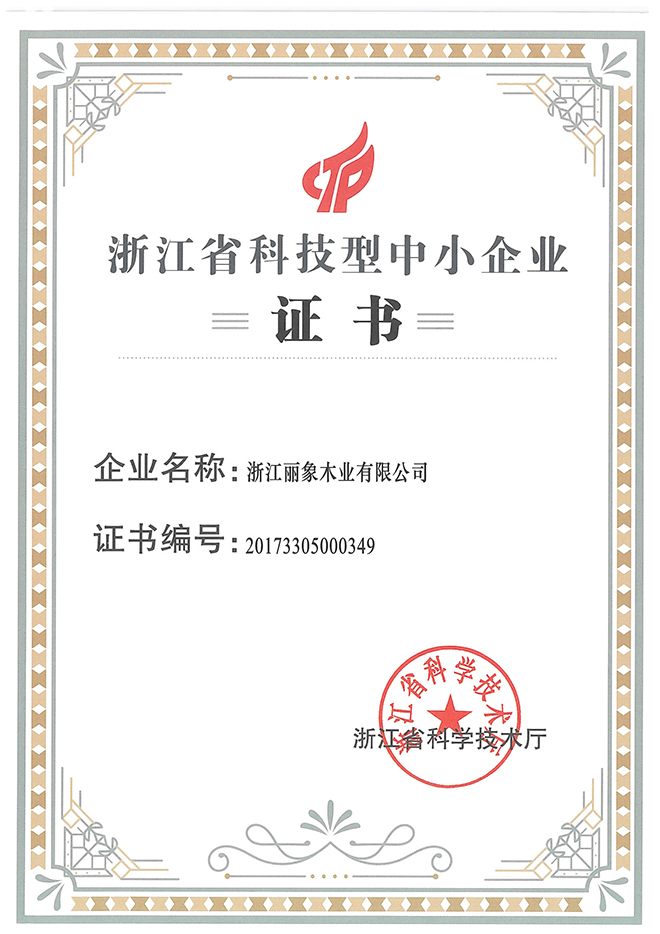 科技型中小企業(yè)證書